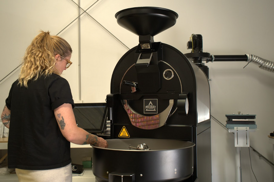 Roasting on a Probat P05e - New Zealand's first commercial electric roaster
